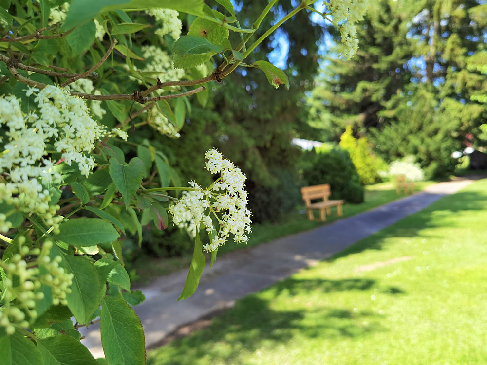 Wellnesshotel mit Relaxgarten